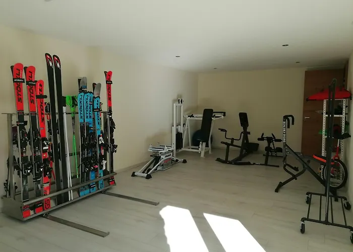 Neu Und Modern 萨斯费